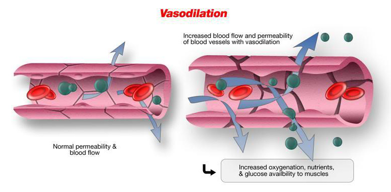 vasodilation sexual health
