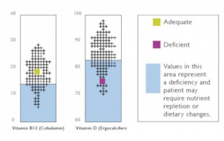 Micronutrient_Testing