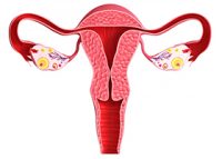 progesterone