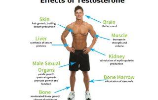 effects_of_testosterone
