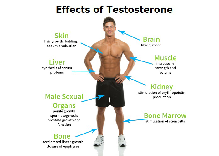 Testosterone Deficiency in Men - The Public Health Impact Low Testosterone....