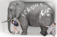 elephant_thumb