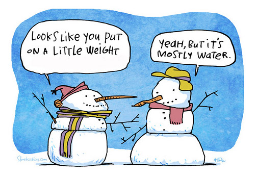 Avoiding Holiday Weight Gain