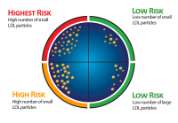lipoprofile-risk-diagram