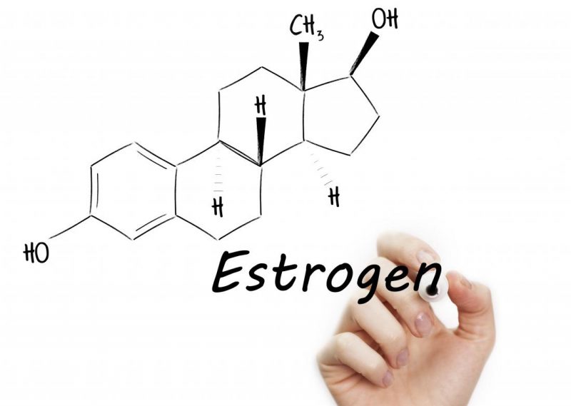estrogen-diagram