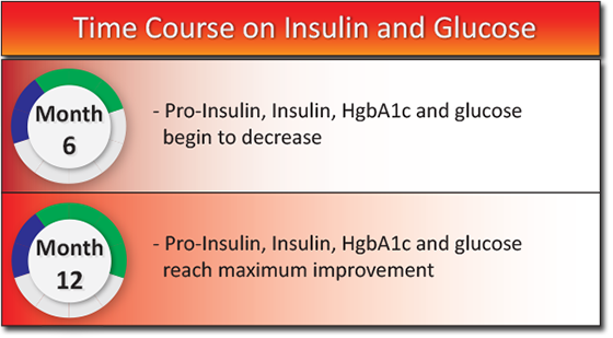 Time Course on Insulin and Glucose