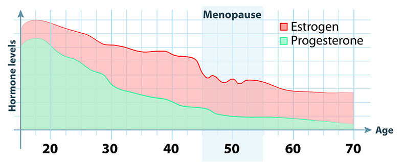 estrogen progesterone decline with age